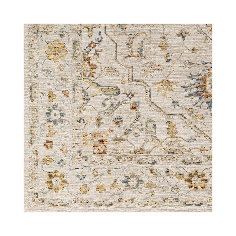 Tereza Updated Traditional Medallion Area Rug