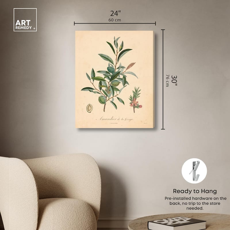 Almond of Georgia I Canvas by Art Remedy, Gallery Wrapped