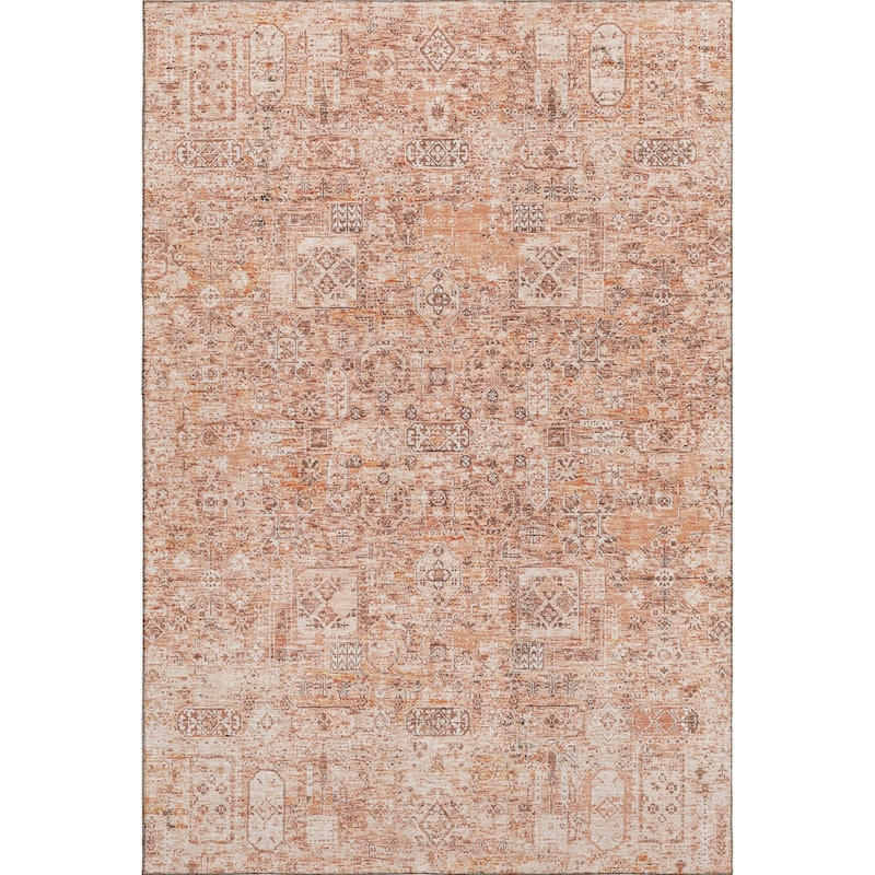 Premium Washable Super Soft Vintage Traditional Mayfield Rug