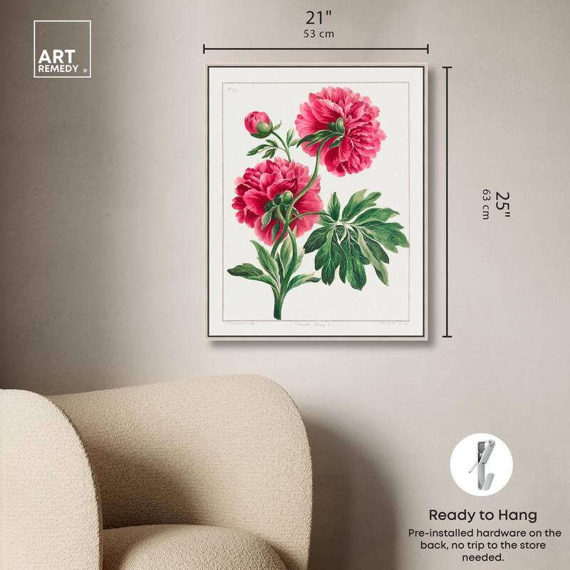 Double Peony (1789) Canvas by Art Remedy