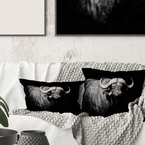 Black and white hotsell farmhouse throw pillows