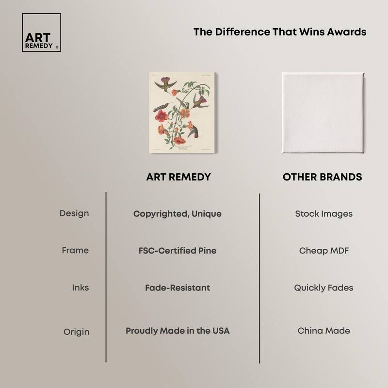 Humming Bird 1834 Canvas by Art Remedy, Gallery Wrapped