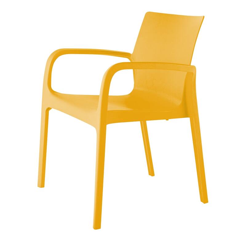 Alissa Resin Stackable All-Weather Dining Armchair, Set of 2