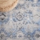 preview thumbnail 22 of 40, SAFAVIEH Odyssey Dido Shabby Chic Oriental Rug