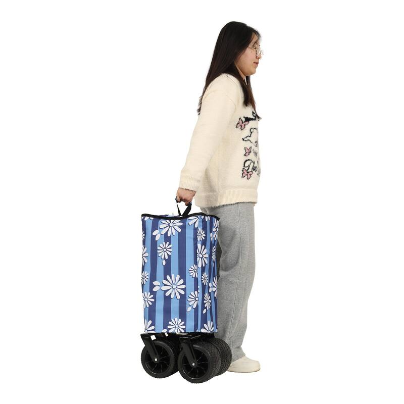 Collapsible Trolley with Strapping System