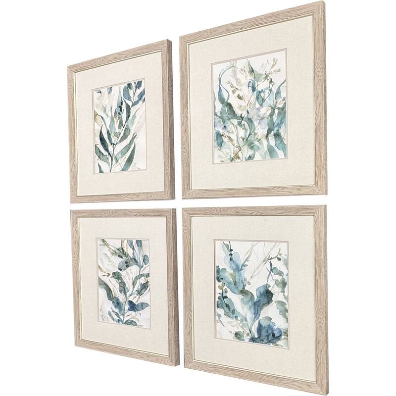 Paragon Underwater Botany Framed Art - Set of 4