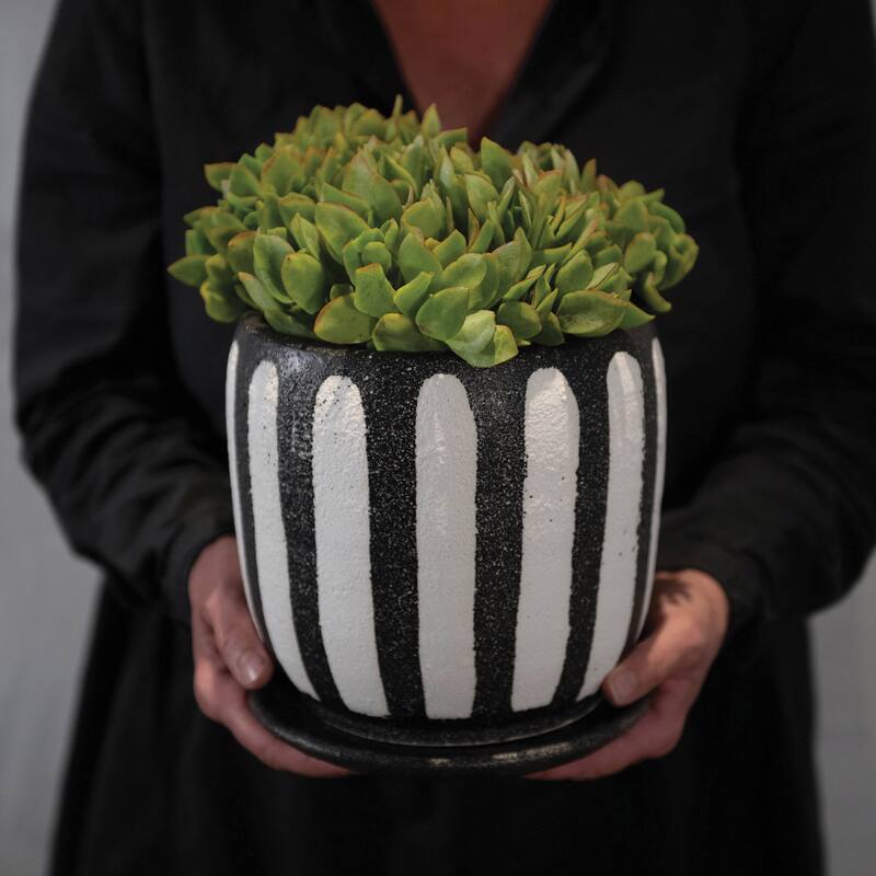 Hand-Painted Terra-cotta Planter with Saucer, Black & White, Set of 2 (Holds 6" Pot)