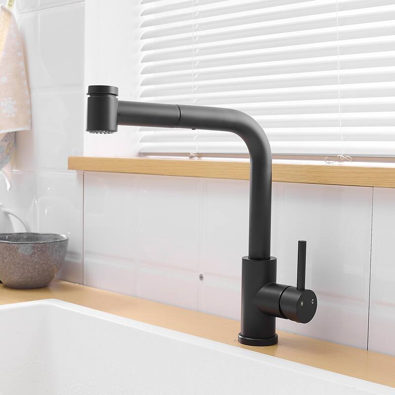 Single Handle Kitchen Faucet with Pull Out Spray
