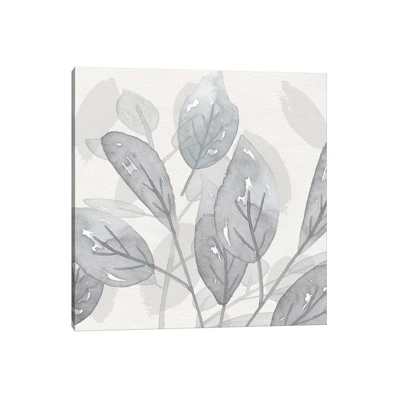 iCanvas "Shadow Leaves II" by Susan Jill Canvas Print