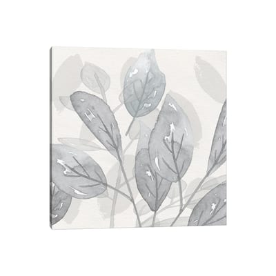 iCanvas "Shadow Leaves II" by Susan Jill Canvas Print