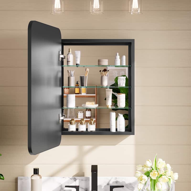 Topcraft Black Wall Mounted Aluminum Framed Medicine Cabinet
