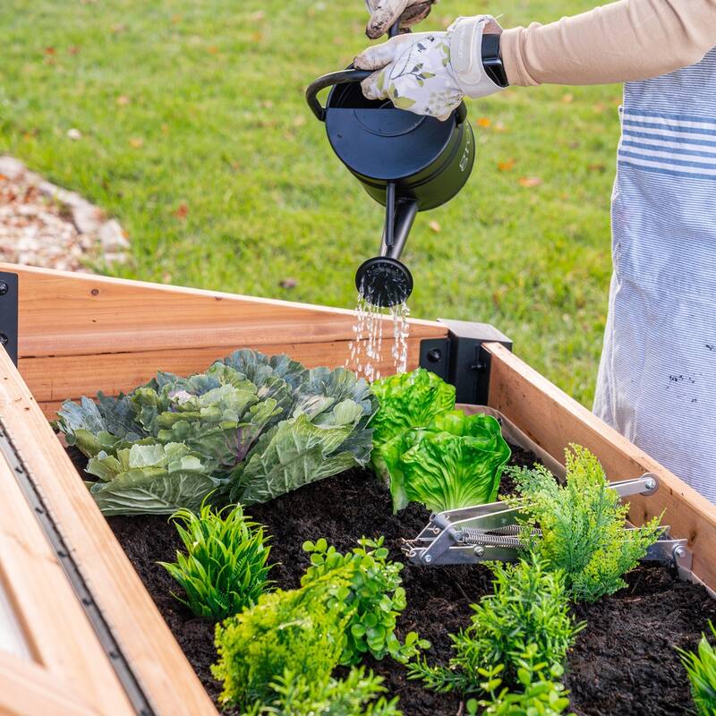 Backyard Discovery Aggie 4x2' Cedar Cold Frame Mini Greenhouse, PC Lid - aggie c