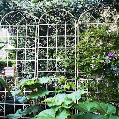 86.7'' x 19.7'' Garden Trellis for Garden Plants