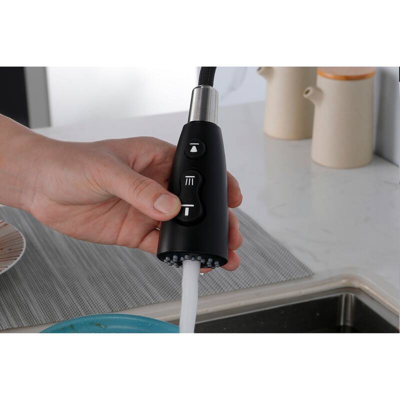 Single Handle Kitchen Sink Faucet with Pull Down Sprayer