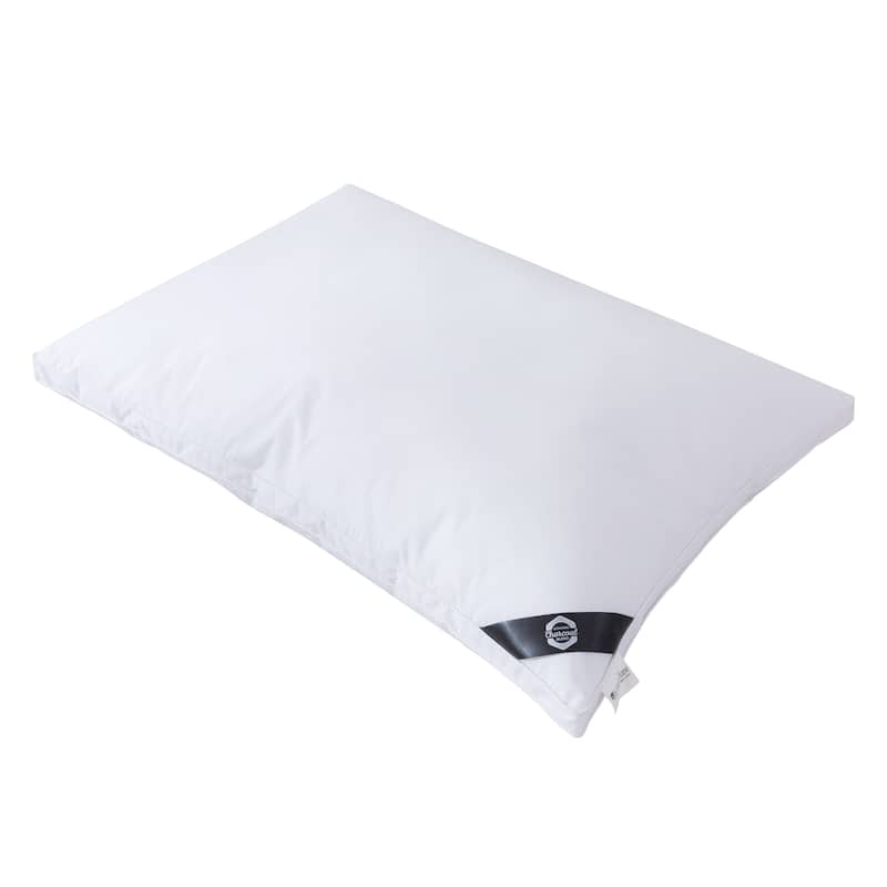 Twin Pack Charcoal Infused Down Alternative Pillow - White