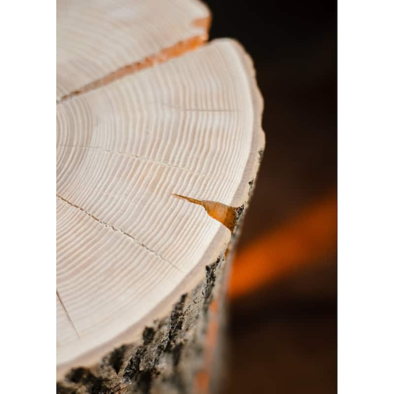 Wood Light - Ash Wood M-ST