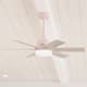 Option Blush Pink