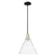 Option Clear / Black Antique Brass