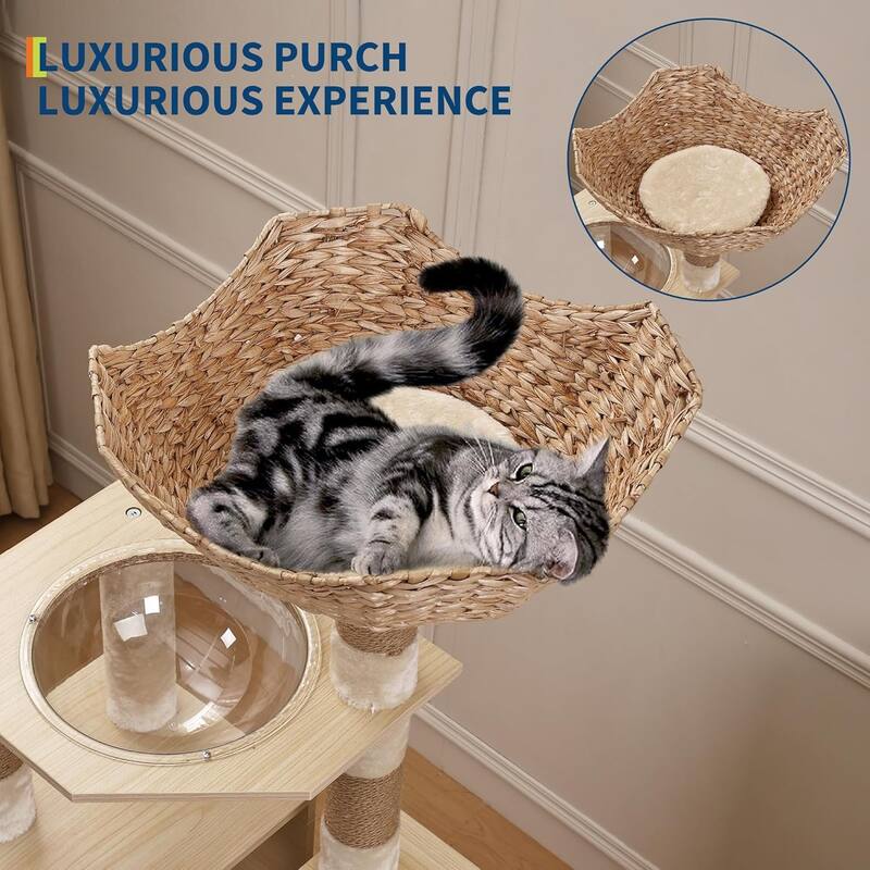 Cat Tree with Litter Box Enclosure, 2-In-1 Modern Cat Tower, 66.9-Inch Tall Cat Condo