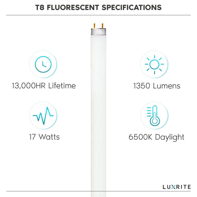 Luxrite (30 Pack) F17T8/765 17W 24 Inch T8 Fluorescent Tube 6500K Daylight White 1350 Lumens G13 Medium Bi-Pin Base