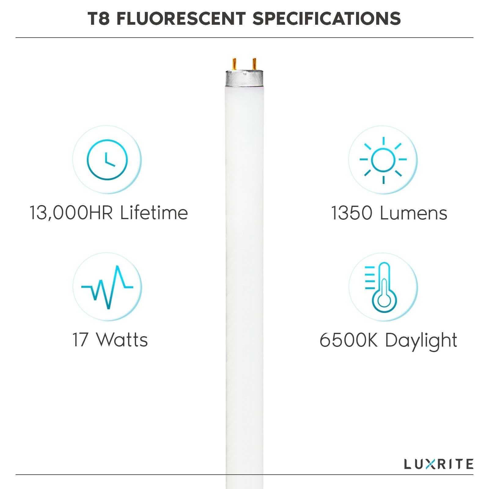 30 inch fluorescent bulb 2025