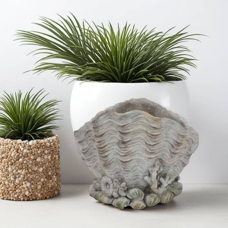 Coastal Clam Shell Planter w Coral Accents, Weathered Gray Terracotta