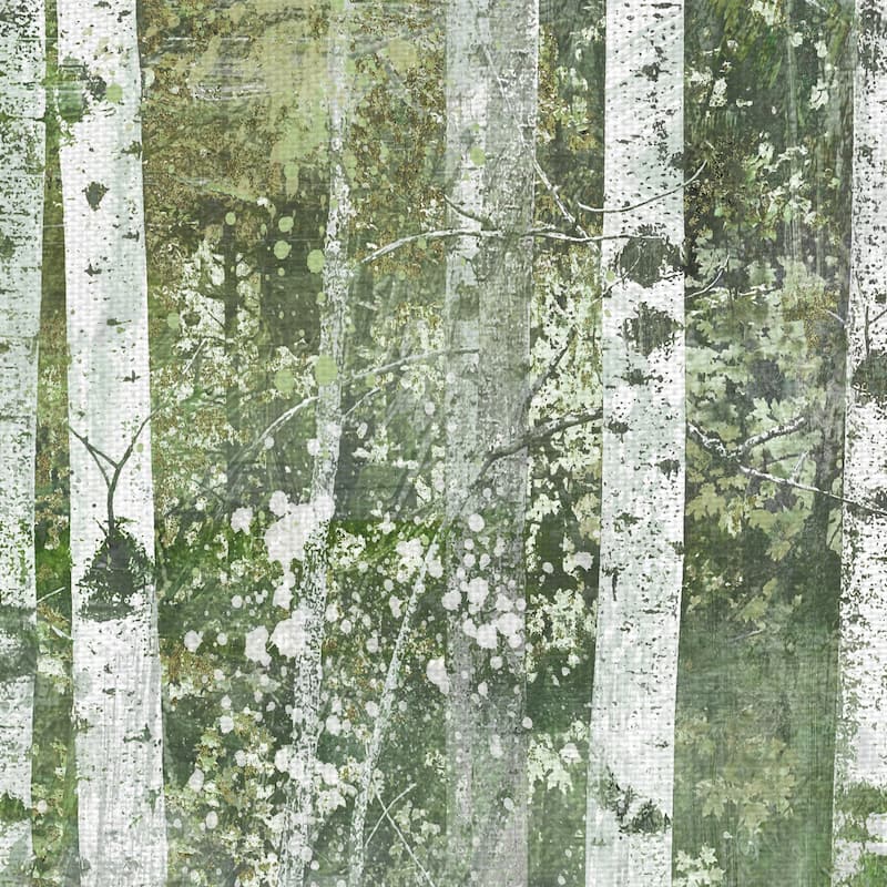 Birch Dream by Willowbrook Fine Art Canvas Art Print
