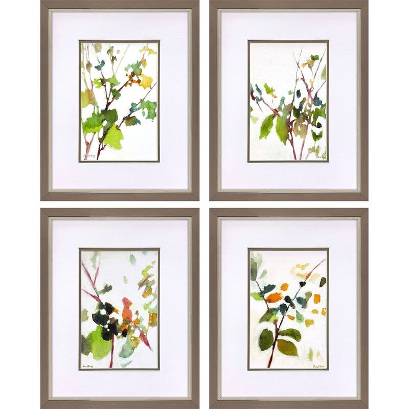 Paragon Botanical Reverie Framed Art - Set of 4
