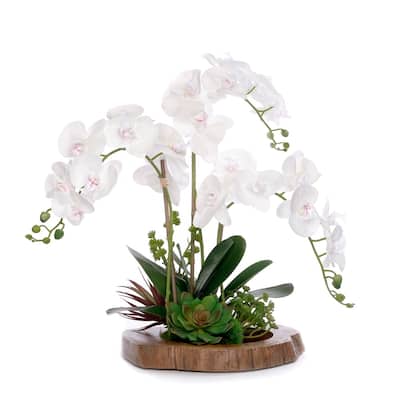 Real Touch Orchid with Arrangement in Mirror Teak Wood Bowl - white