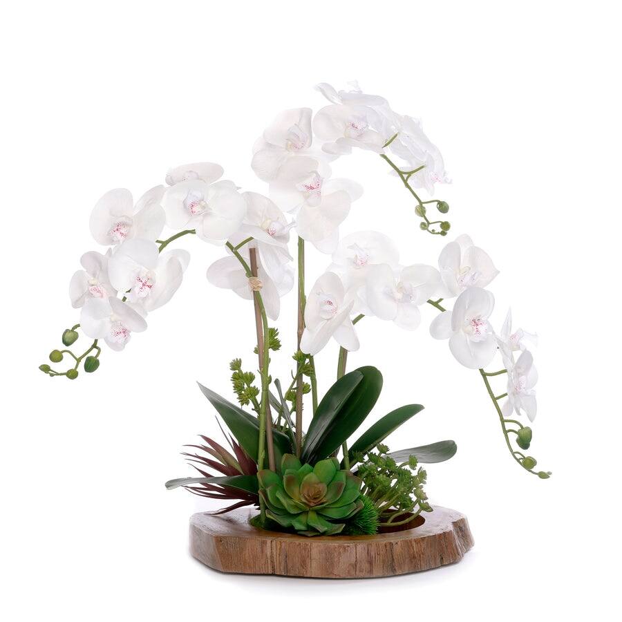 Real Touch Orchid with Arrangement in Mirror Teak Wood Bowl - white