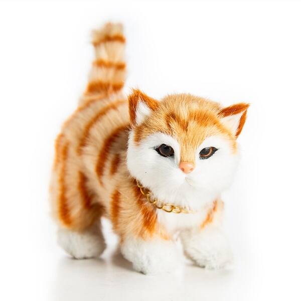 Shop Doll Pet Accessory Truly Adorable Realistic Gold Eyed Tabby