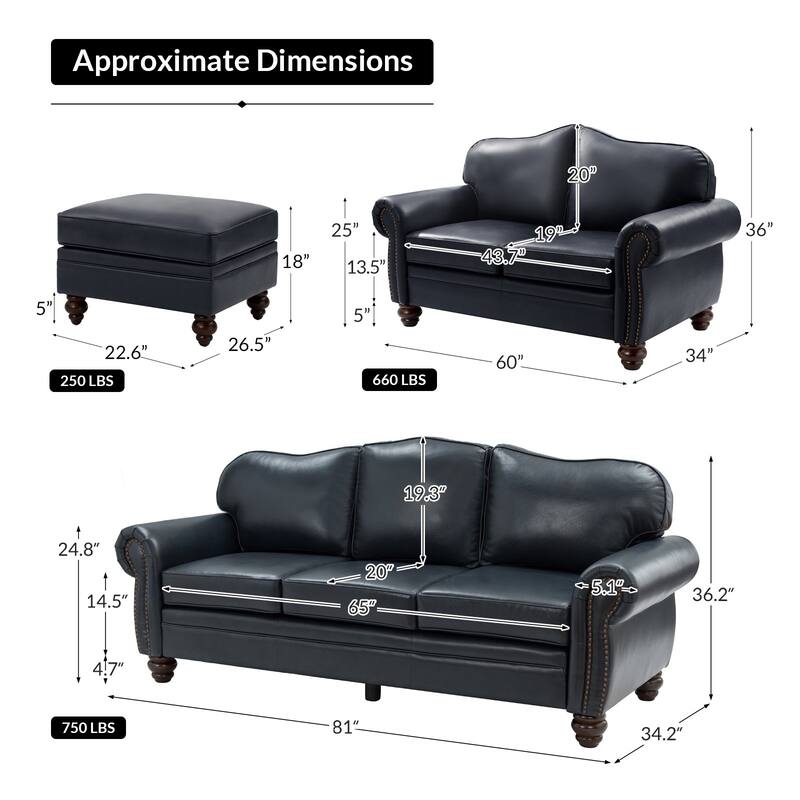 Filomena Transitional 5 Piece Genuine Leather Living Room Set Sofa with Rolled Arms by HULALA HOME
