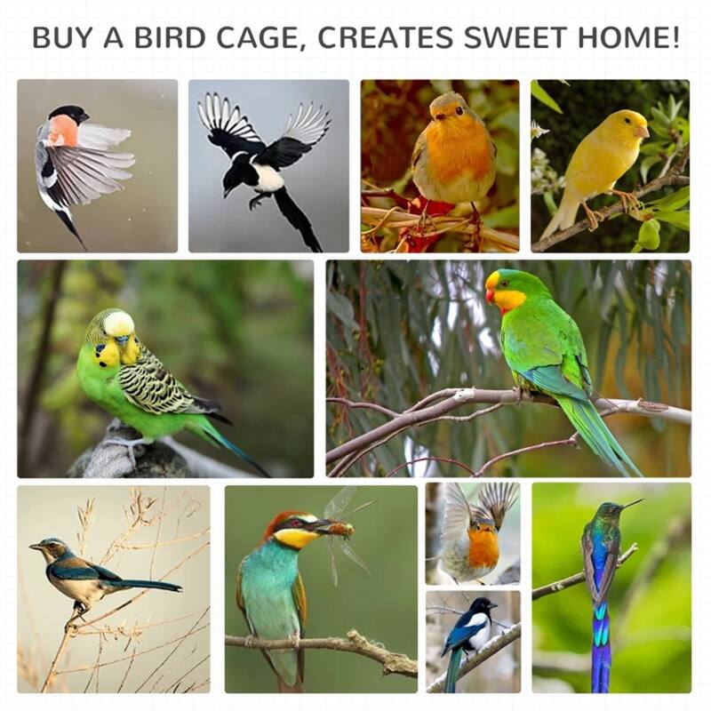 Outdoor Wooden Bird Aviary with Large Access Door Weather-Resistant Fir & Metal Wire, Removable Tray