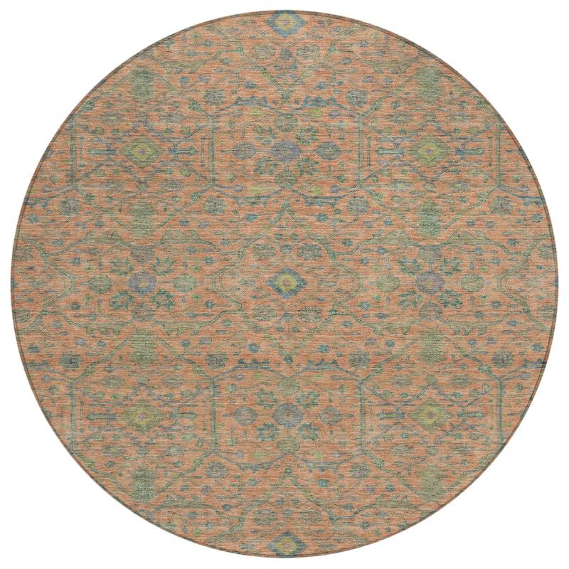 Machine Washable Indoor/ Outdoor Traditional Persian Chantille Rug