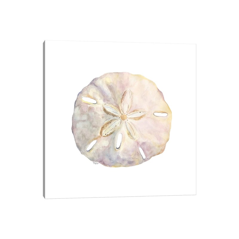 iCanvas "Oceanum Shells White IV-Sand Dollar" by Tara Reed Canvas Print