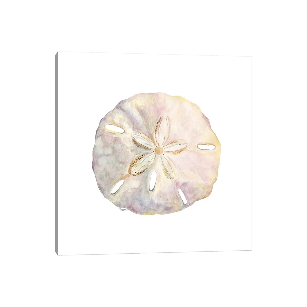 iCanvas "Oceanum Shells White IV-Sand Dollar" by Tara Reed Canvas Print