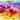 Cora Niele 'Rainbow Flowers' Canvas Art