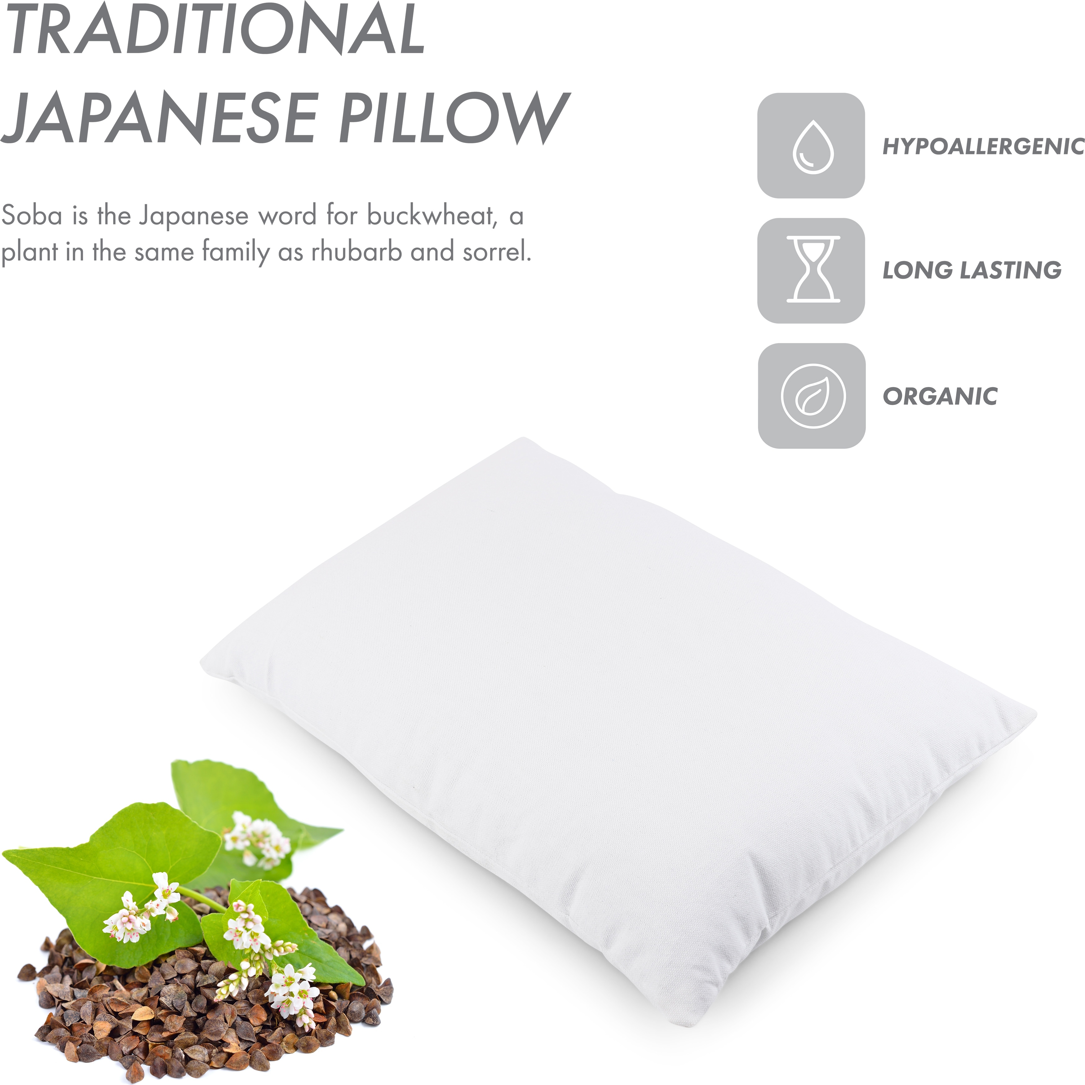 Bed bath and beyond buckwheat pillow store