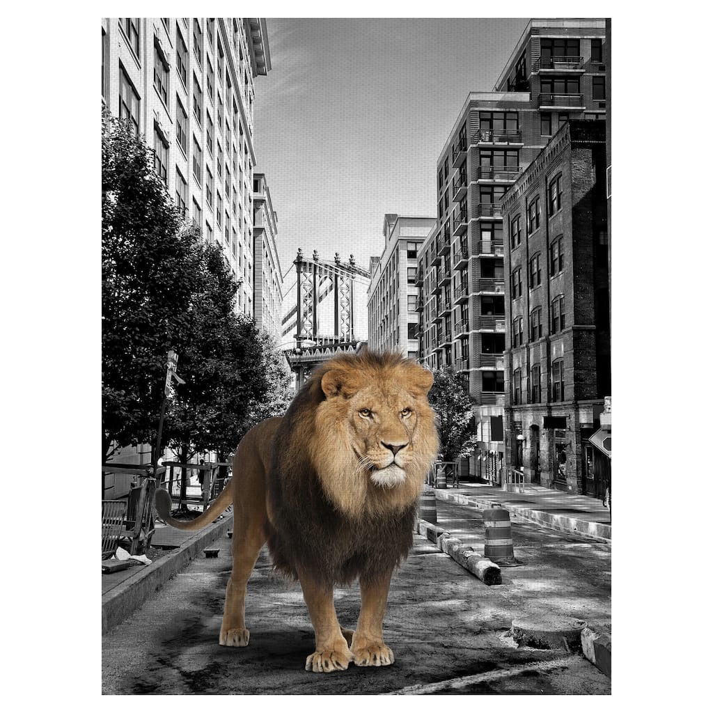 Urban Jungle I by Belle Maison Canvas Art Print
