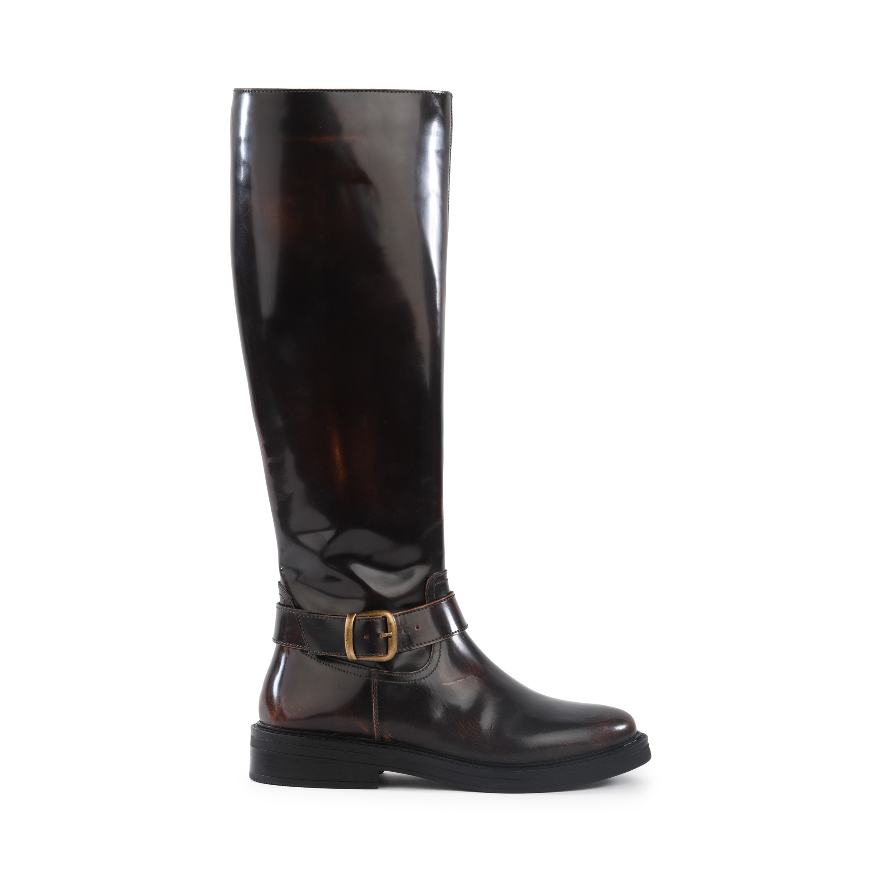 Seychelles Women's Provence Distressed Leather Tall Boot