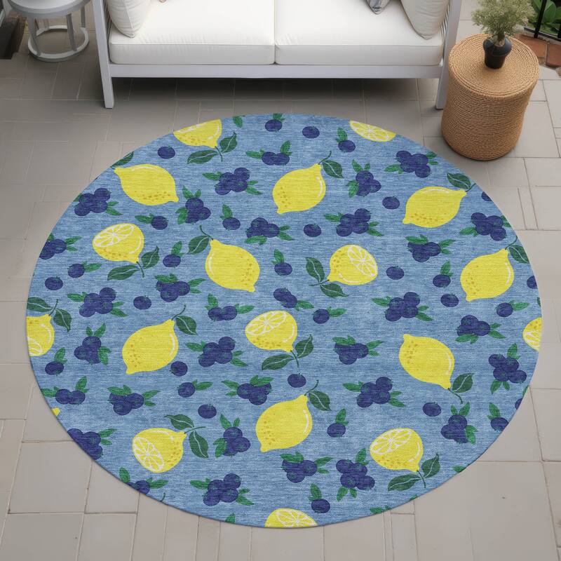 Machine Washable Indoor/ Outdoor Citrus Berry Chantille Rug - Denim - 8' x 8'