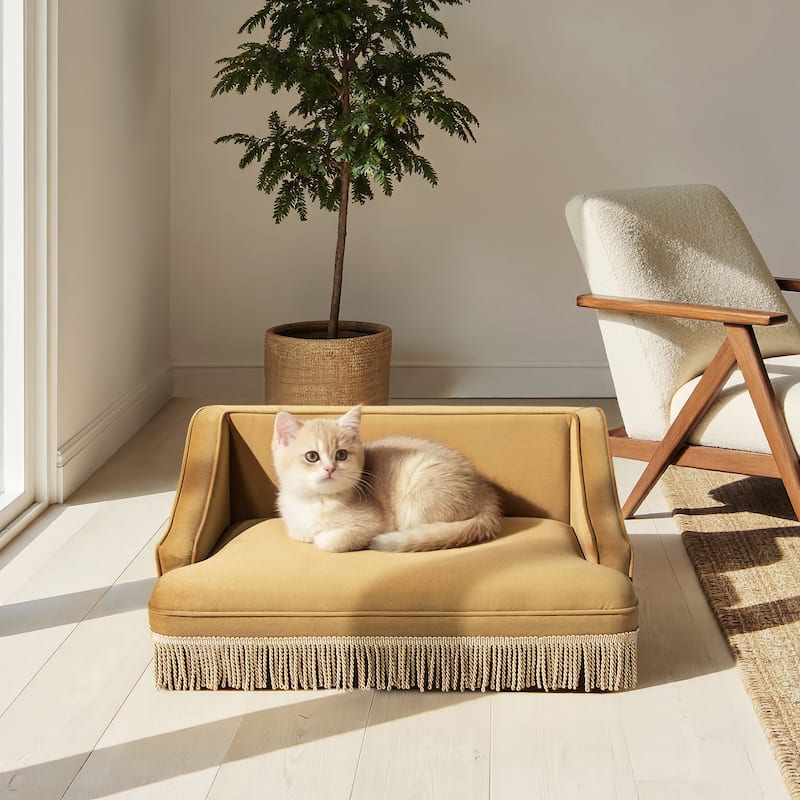 Jennifer Taylor Home Duchess 33" Medium Princess Pet Bed Sofa with Fringe Skirt - Gold Yellow