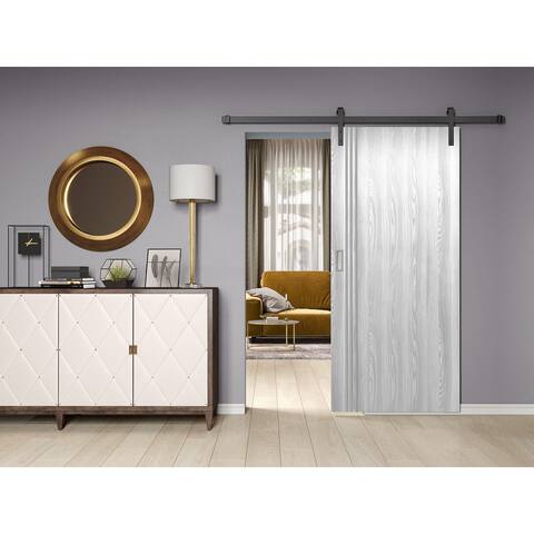 Valusso Design Prefinished Barn Door Gainesville Ice Maple Silver Lines