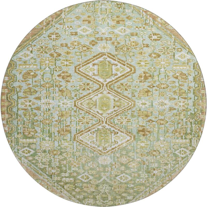 Premium Washable Super Soft Traditional Global Mayfield Rug