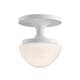 Option Chalk White