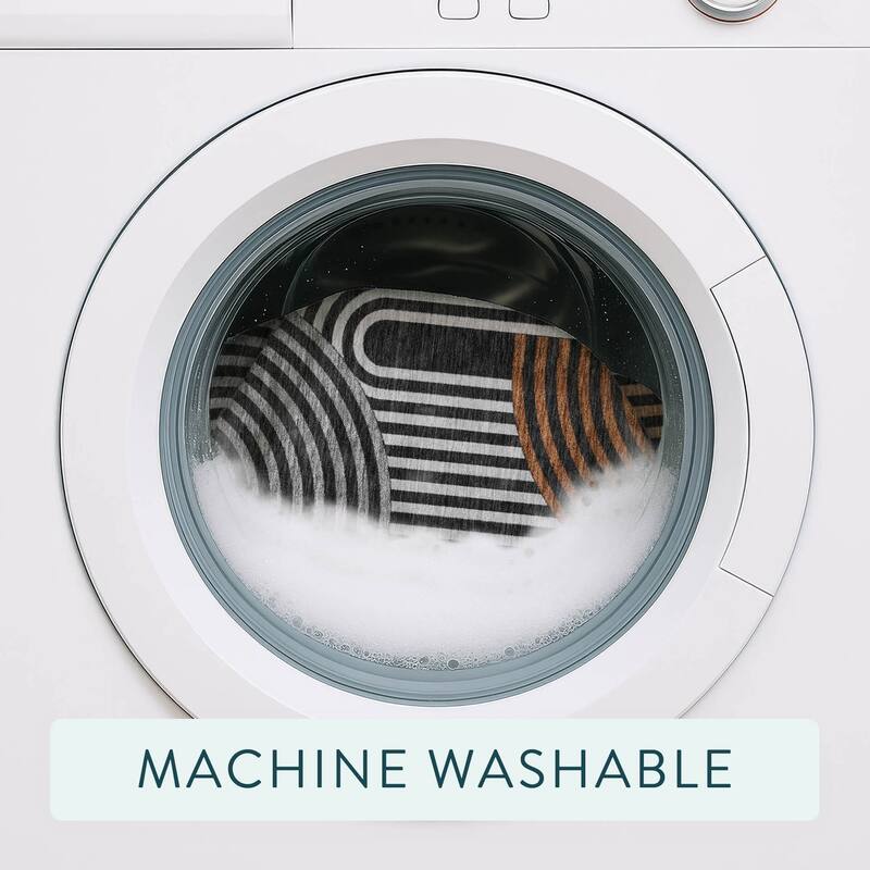 Machine Washable Indoor/ Outdoor Modern Basehor Chantille Rug