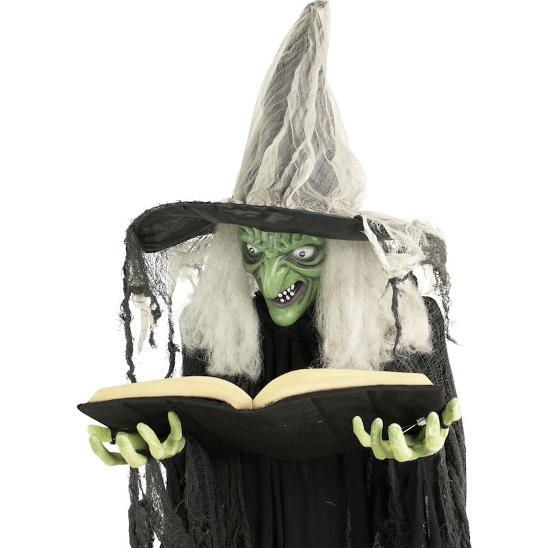 Haunted Hill Farm Life-Size Poseable Witch with Spell Book, Lights and Sound, Indoor/Covered Outdoor Halloween Decoration