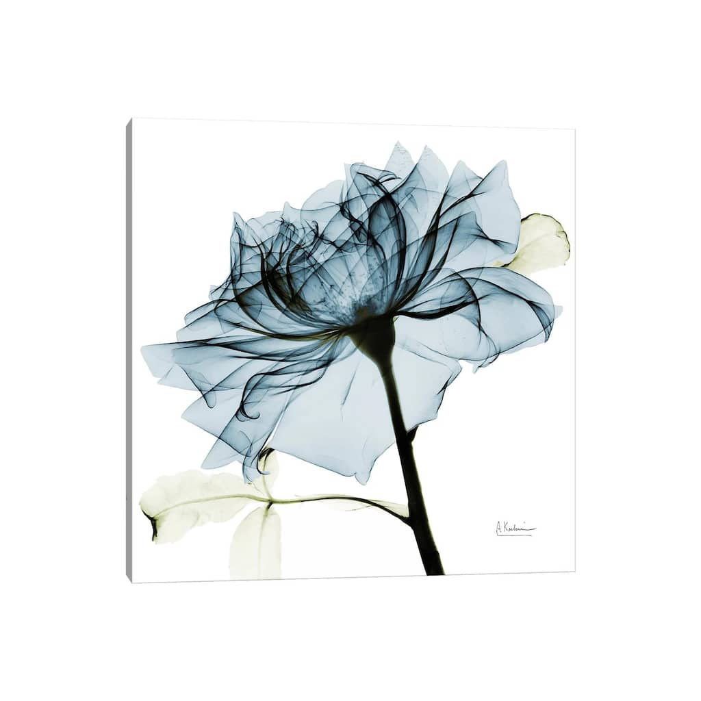 iCanvas "Teal Rose III" by Albert Koetsier Canvas Print