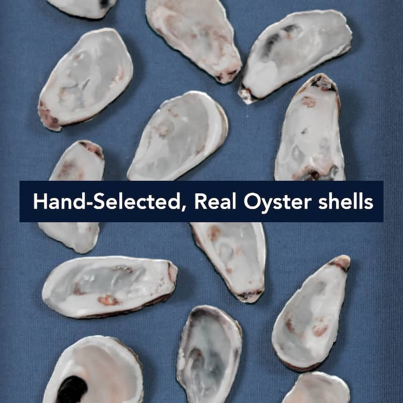 American Art Decor 2-Piece Coastal Seashell & Sea Glass Shadowbox Framed Wall Art Set
