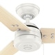 preview thumbnail 63 of 96, Hunter Cassius Outdoor Ceiling Fan, Damp Rated - Industrial, Farmhouse, Contemporary